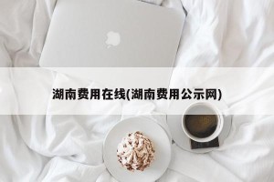 湖南费用在线(湖南费用公示网)