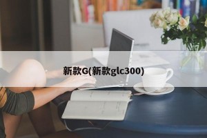新款G(新款glc300)